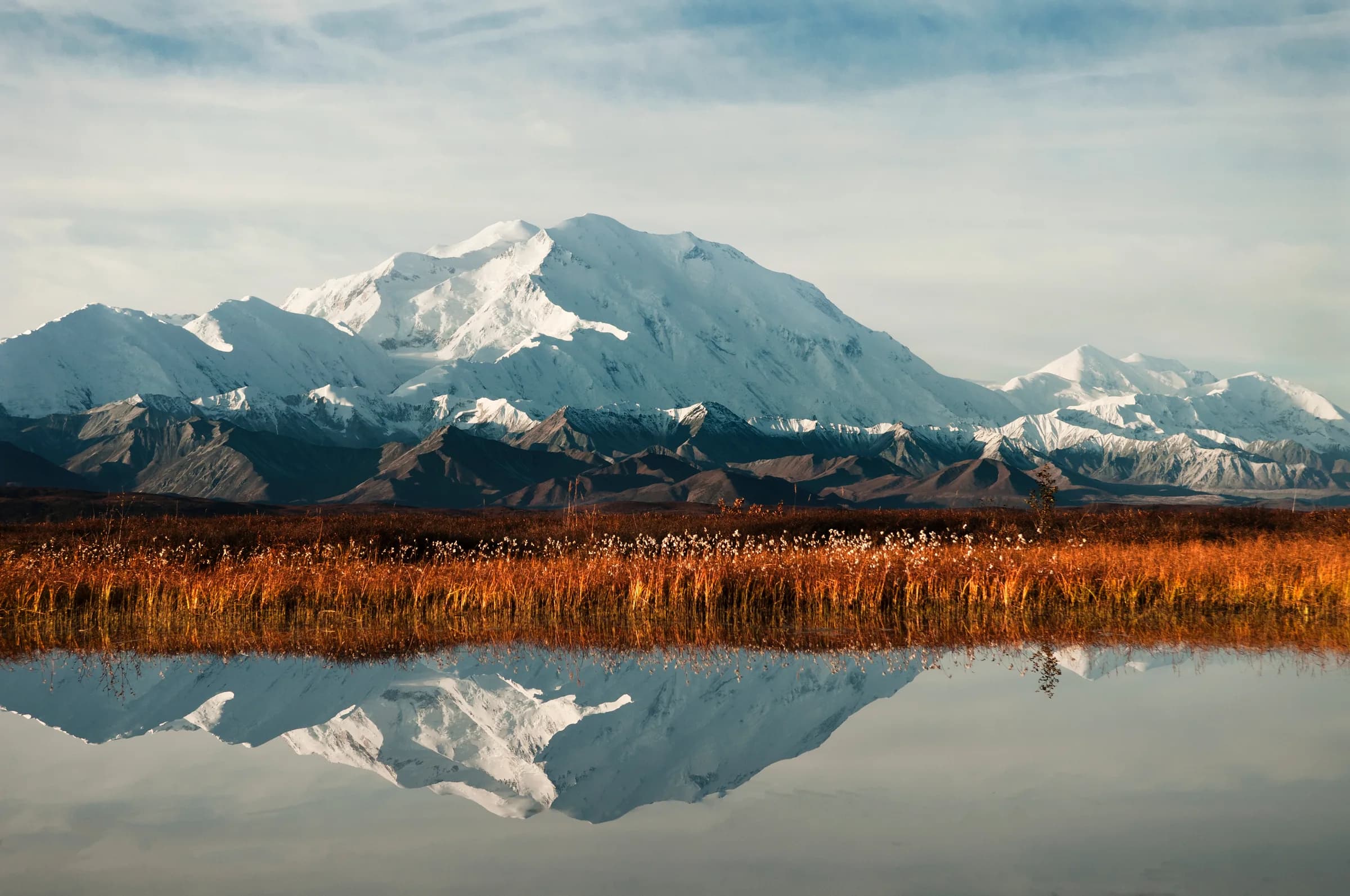 The Alaska Range reflected in still water above autumn tundra